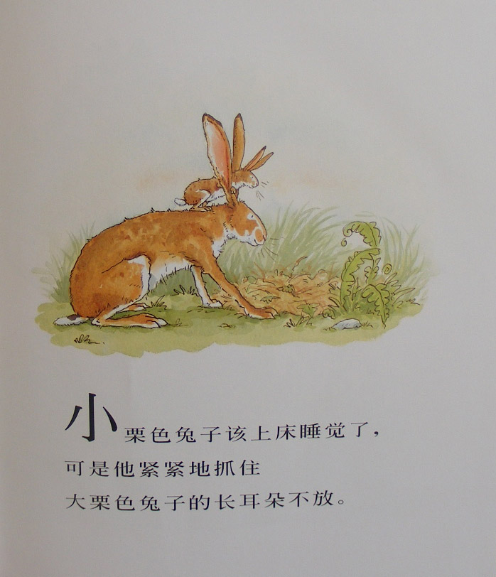 猜猜我有多爱你 (03),绘本,绘本故事,绘本阅读,故事书,童书,图画书,课外阅读